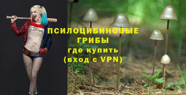 мдпв Заволжск