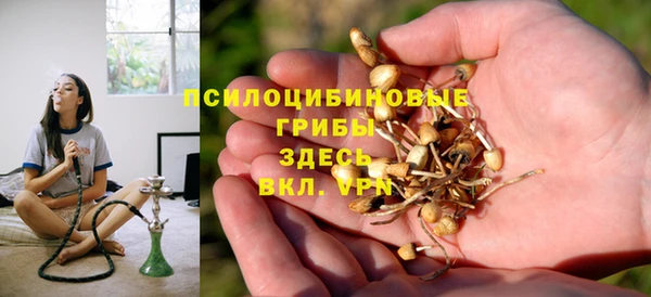 мдпв Заволжск