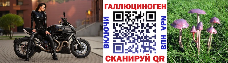 Купить  Лысково  Галлюциногенные грибы GOLDEN TEACHER 