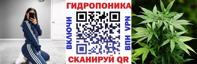 МАРИХУАНА сатива Купить где Лысково